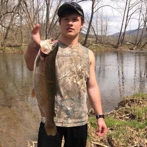 Meet your Posher, Wyatt